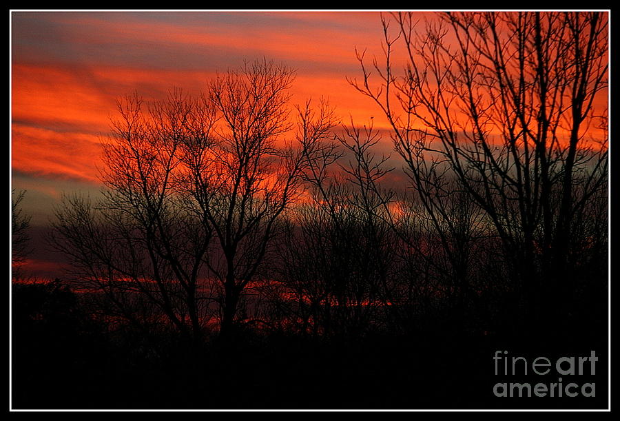 Sunset Photograph by Robyn Pervin - Fine Art America