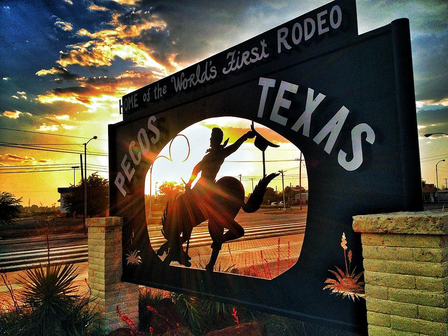 sunset rodeo art