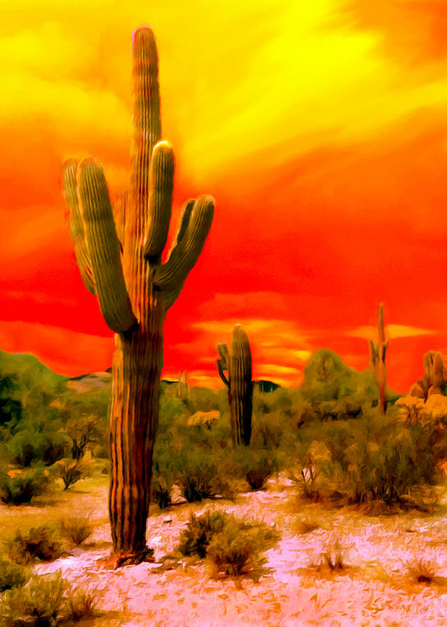 Saguaro National Park Painting - Sunset Saguaro National Park Arizona by Bob and Nadine Johnston