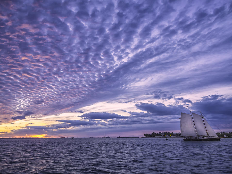 Sunset Sail  4800  Photograph by Karen Celella