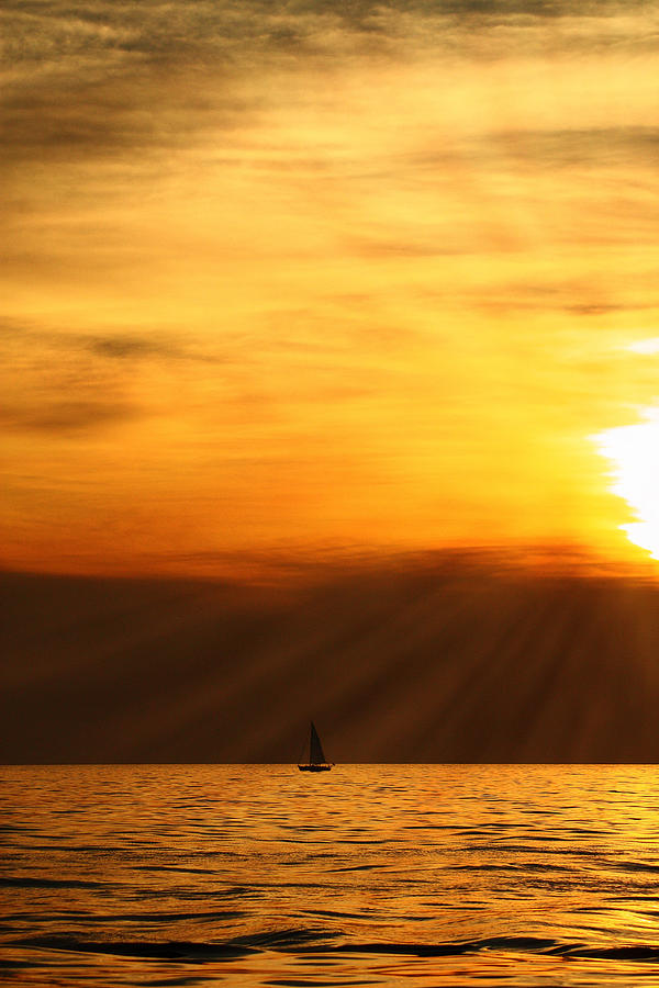 Sunset Sail Photograph by Coby Cooper