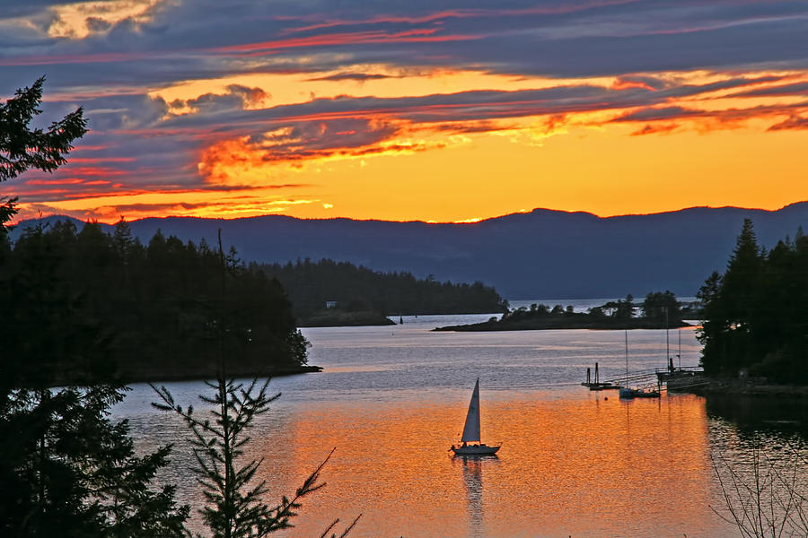 Sunset Sail in the Bay Photograph by Peggy Collins