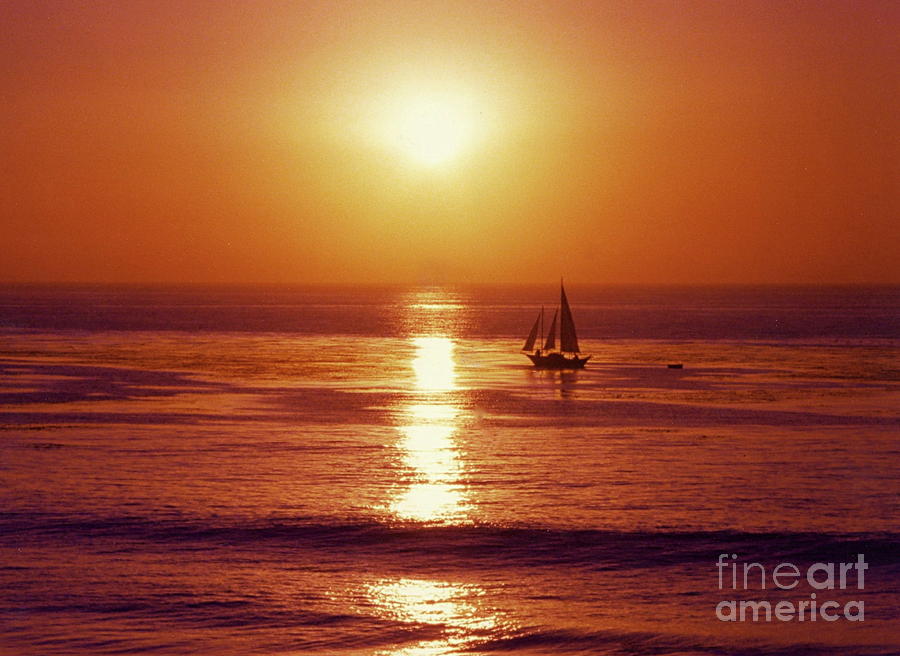 Sunset Sail Photograph by Maureen J Haldeman