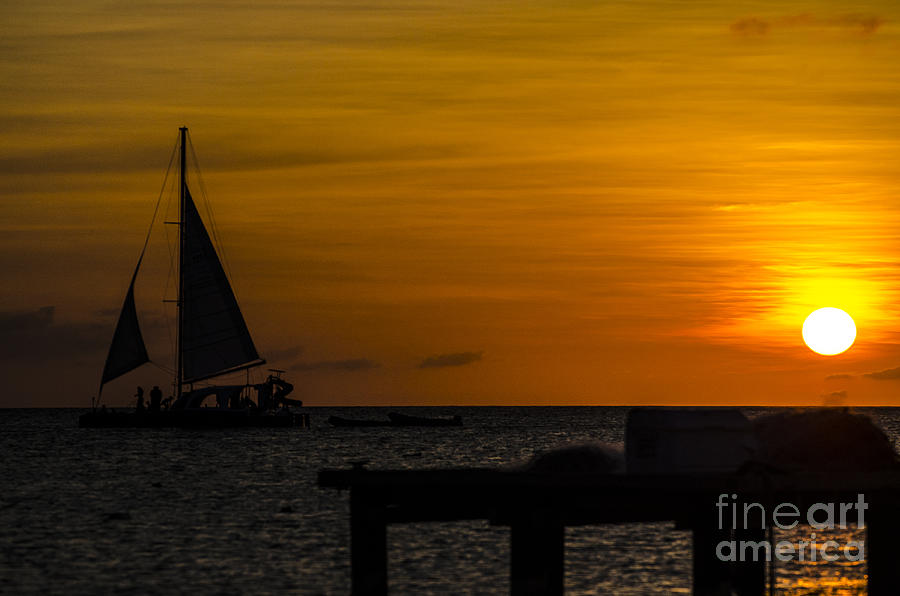 Sunset Sails Photograph by Judy Wolinsky