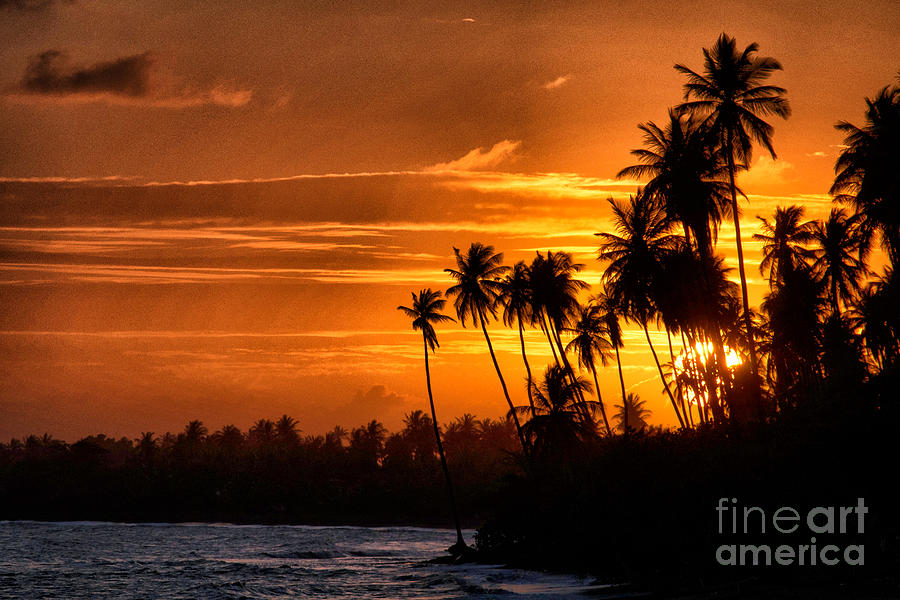 Sunset Salinas Puerto Rico Photograph by Charlie Roman