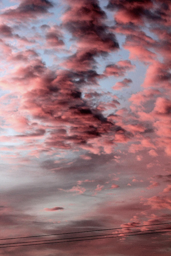 Sunset Photograph by Sam Bunker