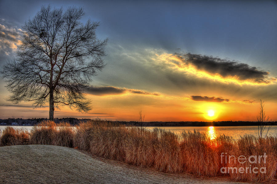 Sunset Sawgrass on Lake Oconee Photograph by Reid Callaway