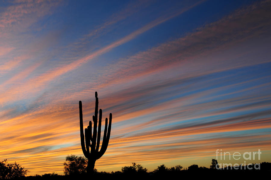 Sunset Sentinel AZ Photograph by Joanne West
