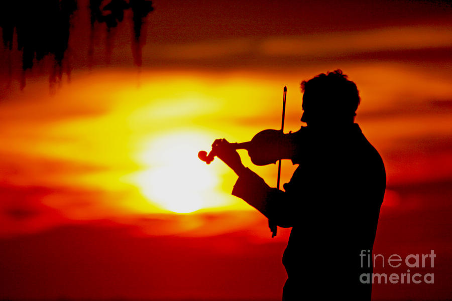 Sunset Violin Serenade Louisiana Photograph by Luana K Perez