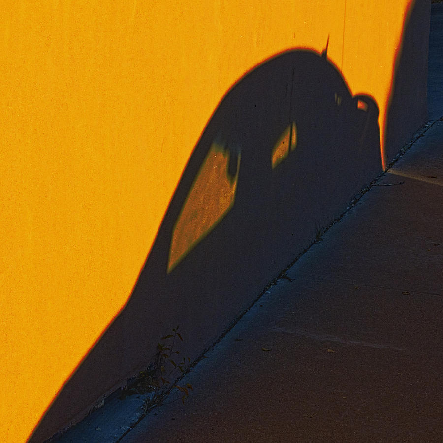 Sunset Shadow Car Photograph by John Hansen