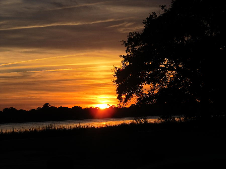 Sunset Shadowed Oak Photograph by Joetta Beauford