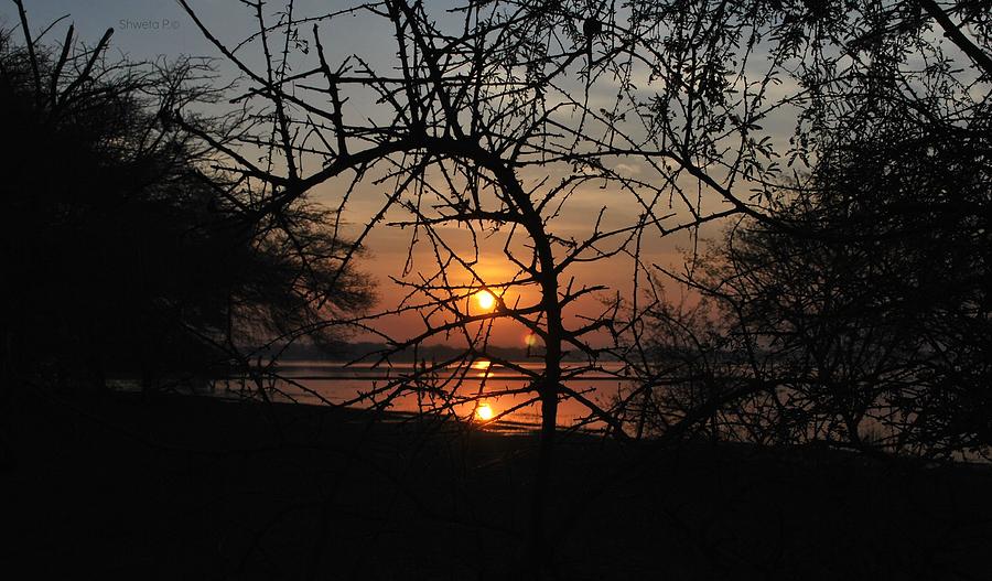 Sunset Photograph - Sunset by Shweta Paryani