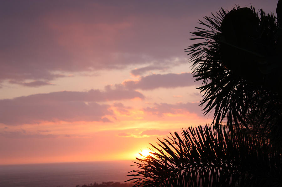 Sunset Photograph - Sunset Silhouette 4 by Karen Nicholson