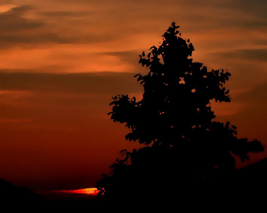 Sunset Silhouette Photograph by Deena Stoddard