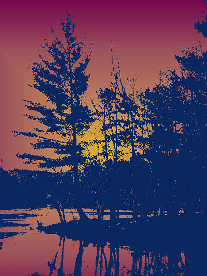 Sunset Silhouette Digital Art by Larry Capra