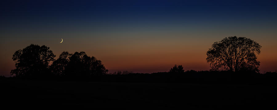 Sunset Silhouette Photograph by Paul Freidlund