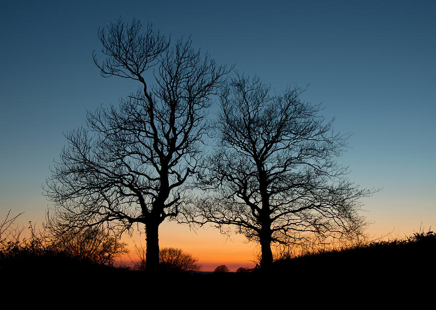 Sunset silhouette Photograph by Pete Hemington