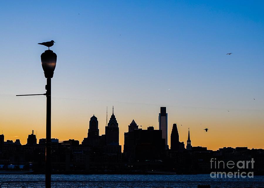 Philadelphia Photograph - Sunset silhouette by Photolope Images
