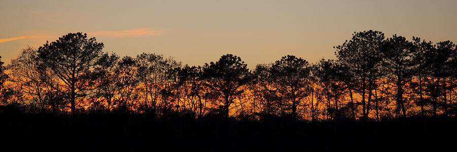 Sunset Silhouette Photograph by Steve Gravano