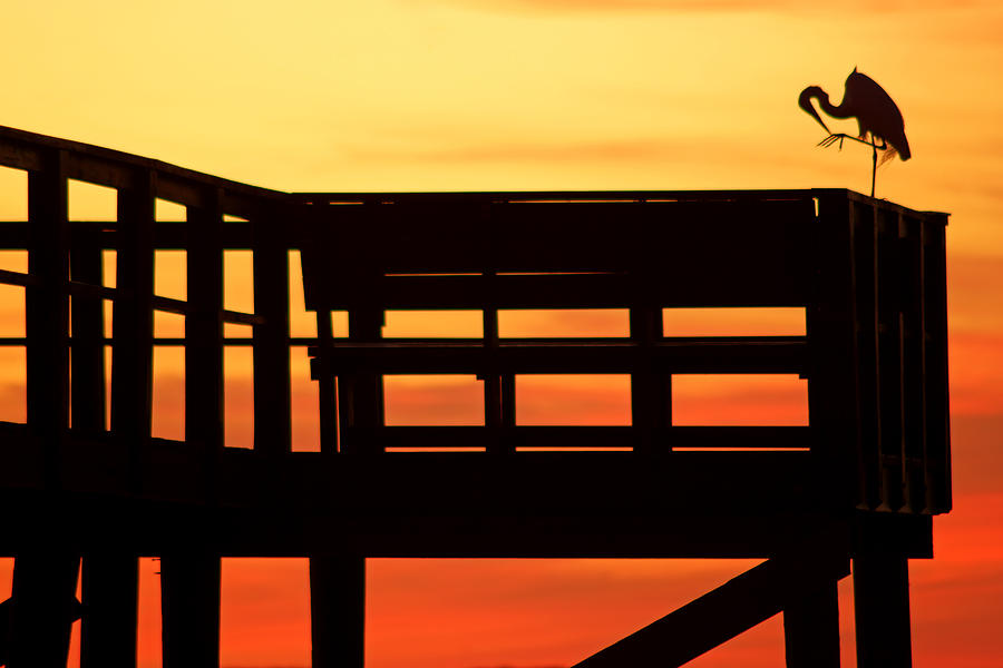 Sunset Silhouettes at Crystal Beach Pier VI Photograph by Daniel Woodrum