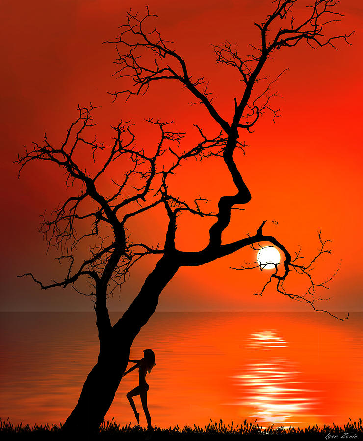 Sunset Silhouettes Digital Art by Igor Zenin