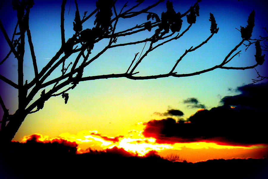Sunset Photograph - Sunset Silhouettes by Angel One