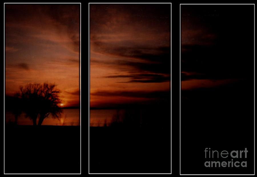 Sunset Silouette Photograph by Michelle Frizzell-Thompson