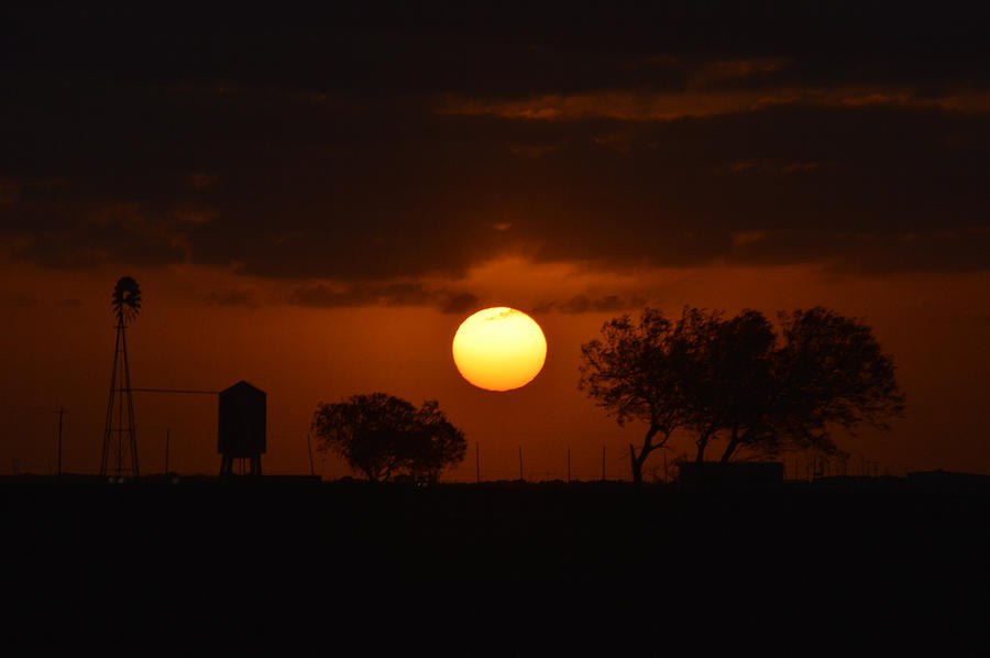 Sunset Silouhette Photograph by Leticia Latocki