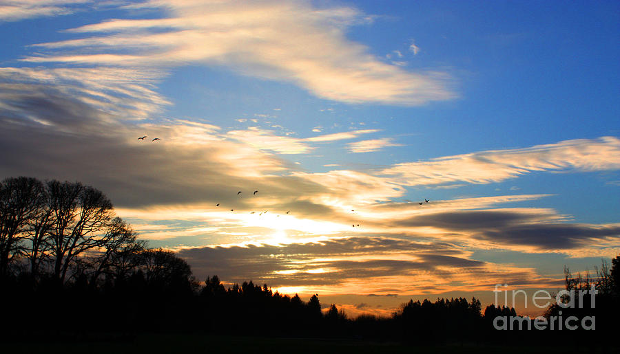 Sunset Sky Photograph by Nick Gustafson