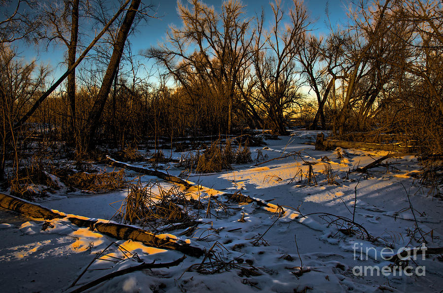 Winter Photograph - Sunset Snow by Baywest Imaging