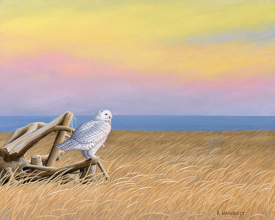 Snowy Owl Painting - Sunset Snowy Owl by Kirsten Wahlquist Snowy Owl Painting - Sunset Snowy Owl by Kirsten Wahlquist