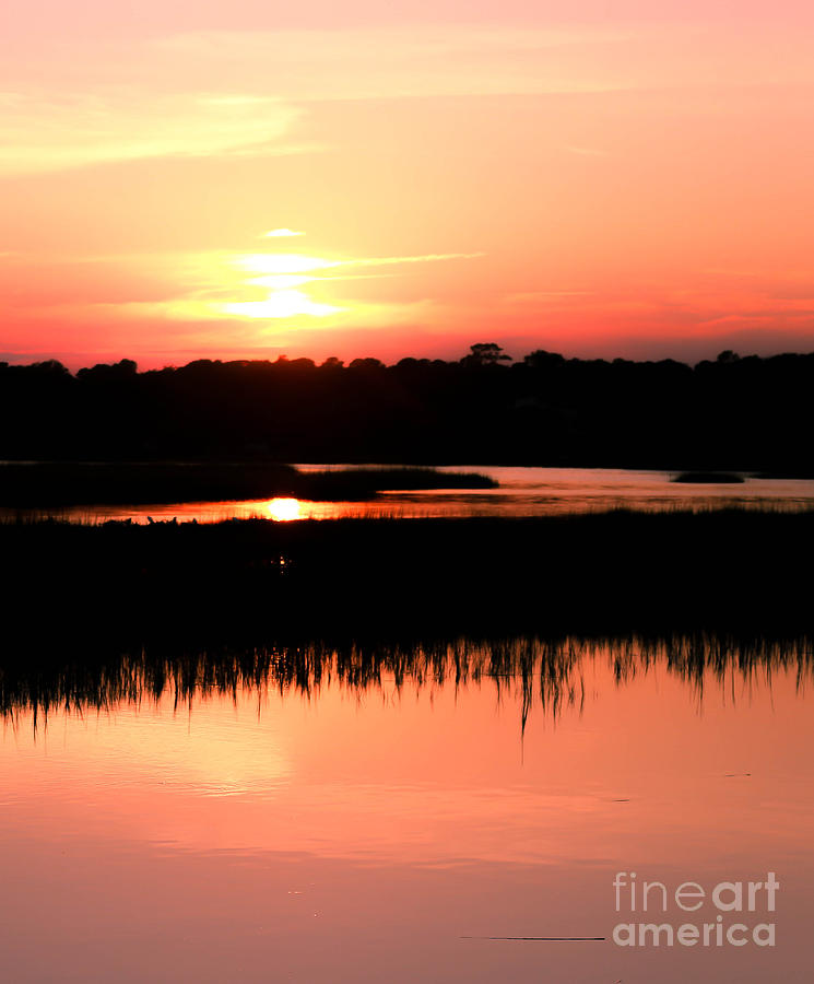 Charleston County Photograph - Sunset South Carolina Coastal Marshes marshes by DJ Laughlin