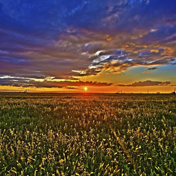 Bakersfield Photograph - #sunset #sun #field #weather #nature by Michael Amos