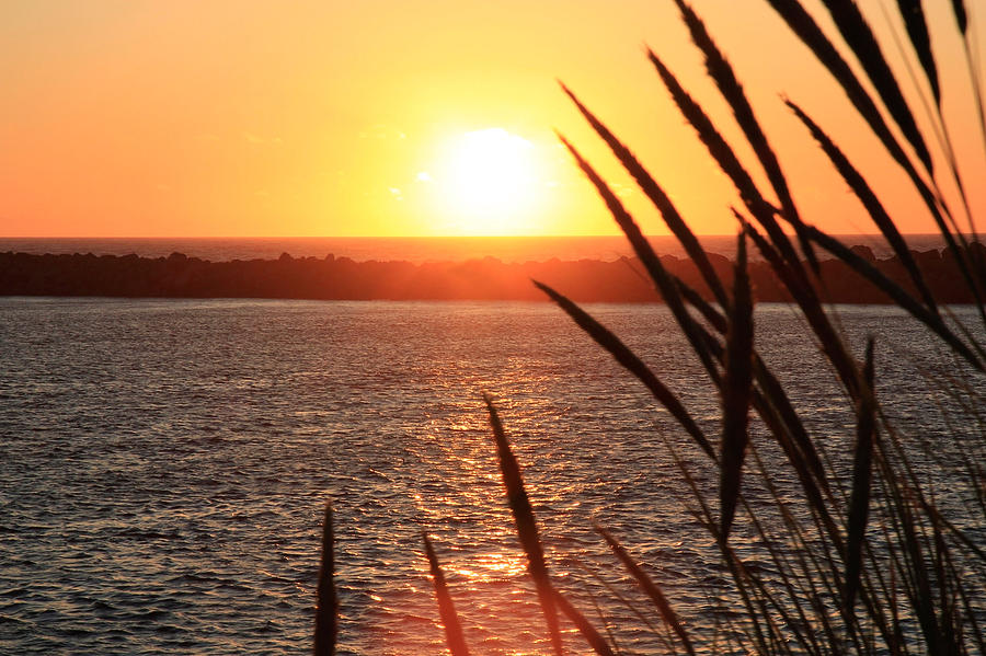 Sunset Beach II Photograph by Athena Mckinzie