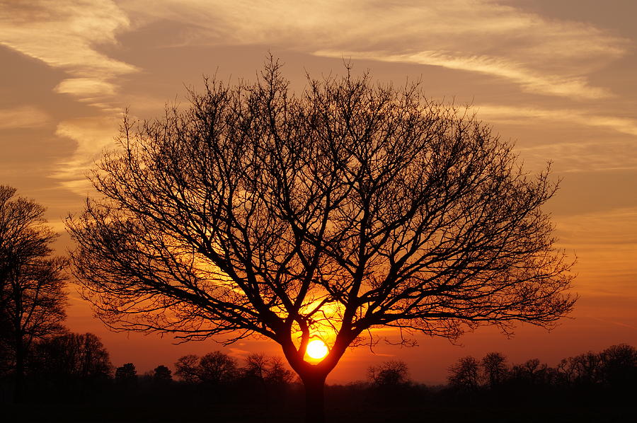 Sunset Symmetry Photograph by Sean Hattersley - Fine Art America