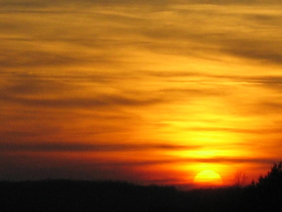 Sunset Photograph - Sunset by Teresa Cox