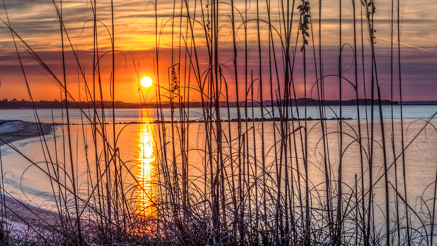 Sunset Through Sea Oats At Fort Clinch State Park Photograph by Travelers Pics