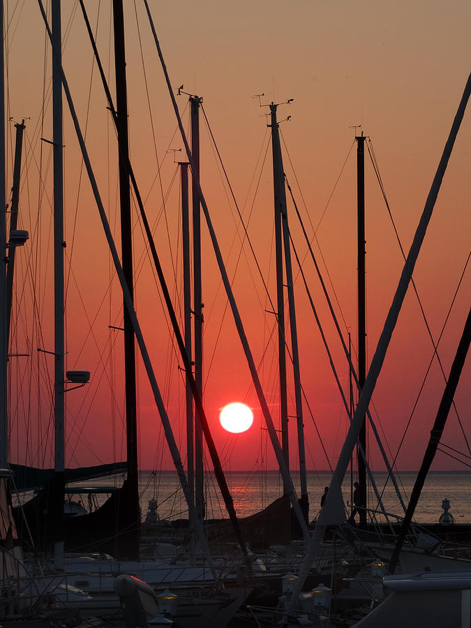 Sunset Through the Masts Photograph by David T Wilkinson