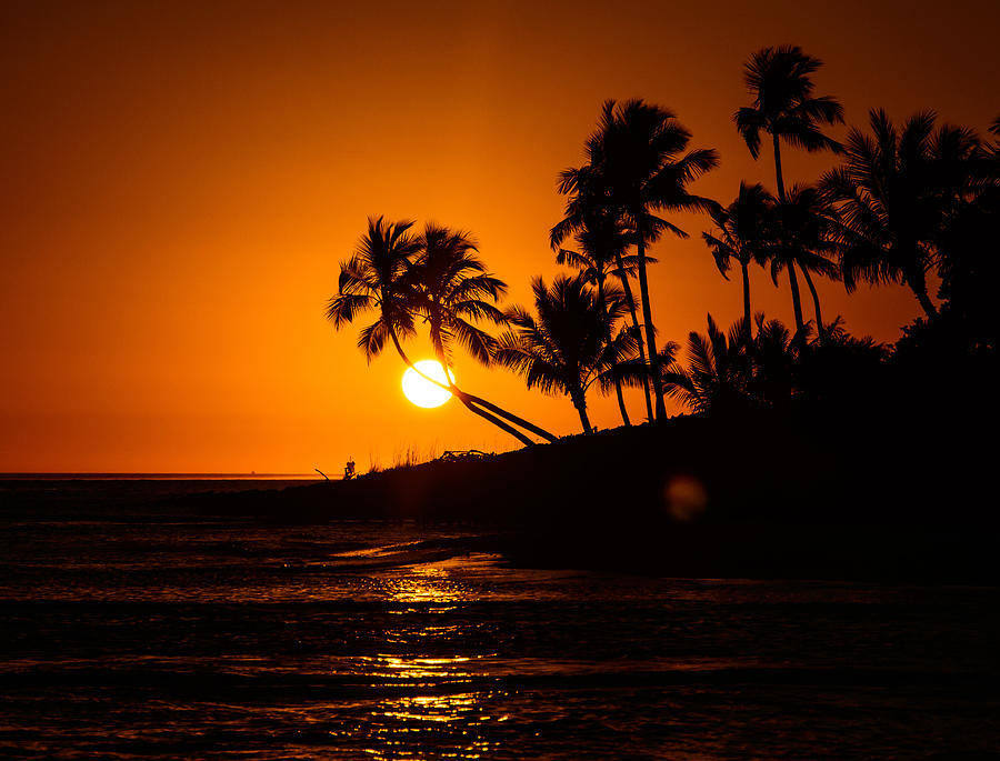 Sunset Photograph - Sunset Through the Palm Trees by Kathi Isserman
