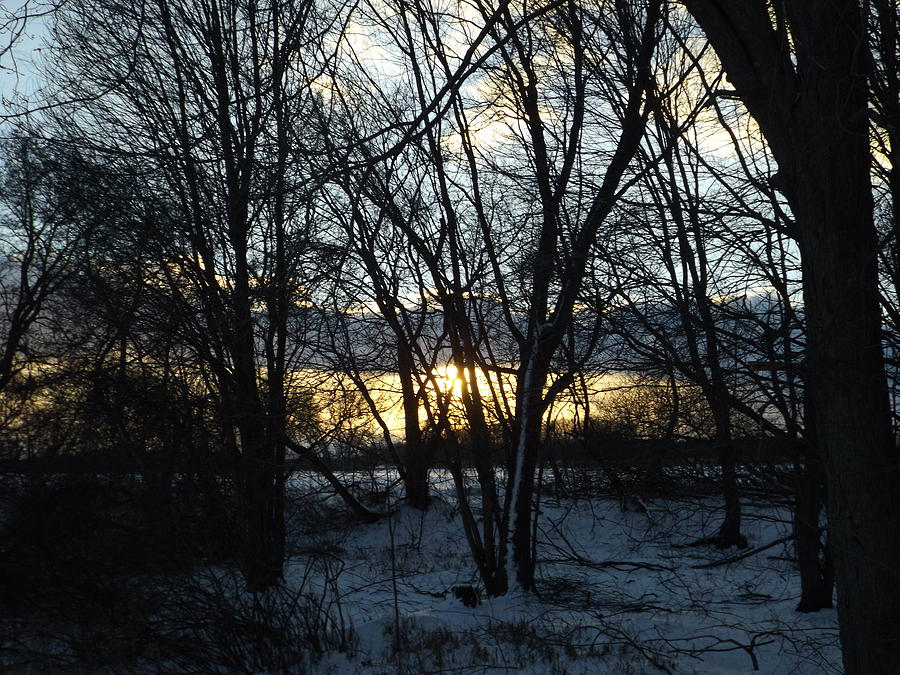 Sunset through the Trees Photograph by Linda Kerkau