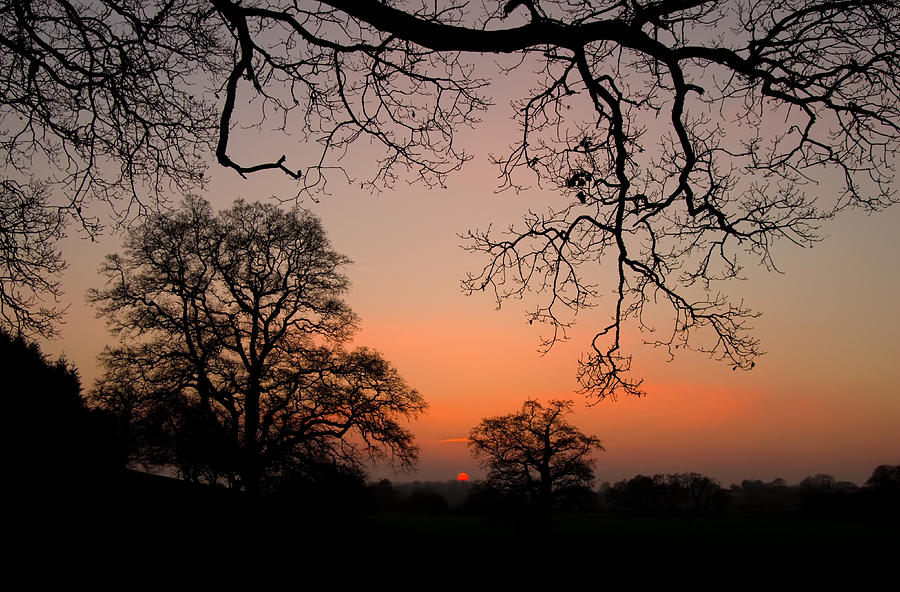 Sunset through the Trees Photograph by Pete Hemington