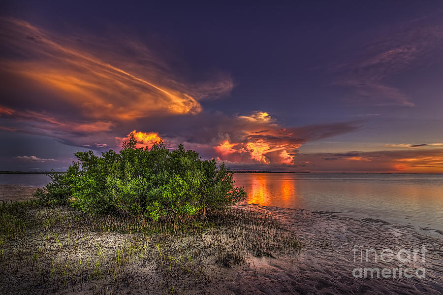Clearwater Photograph - Sunset Thunder Storms by Marvin Spates