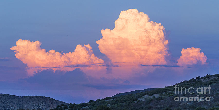 Sunset Thunderhead Photograph by L J Oakes