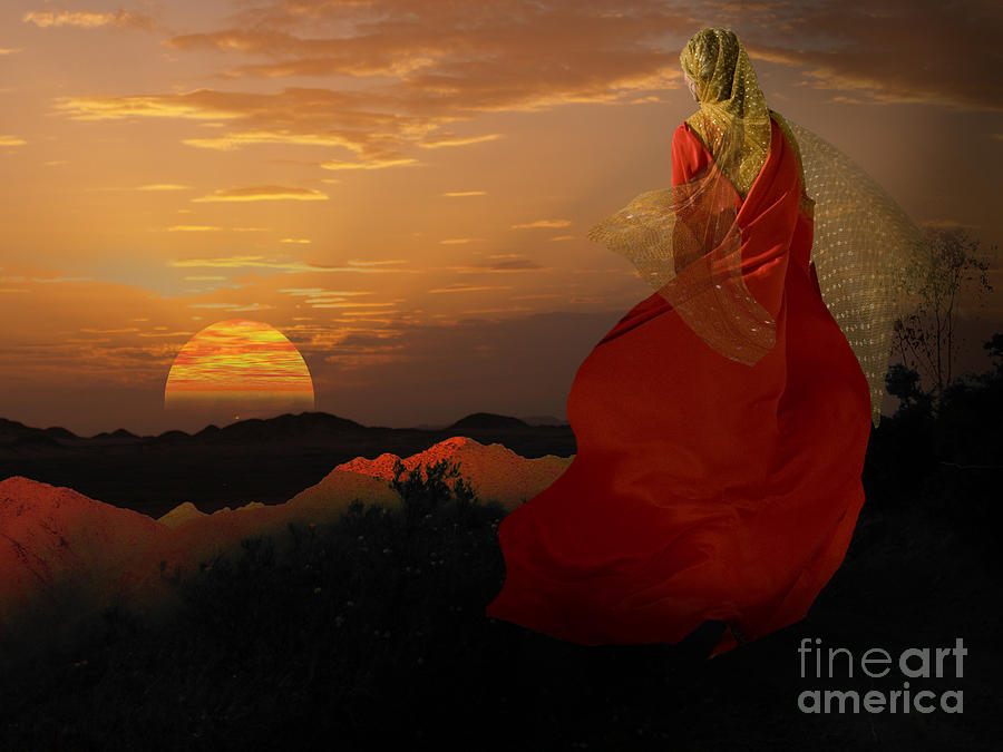 Sunset tinic Digital Art by Angelika Drake