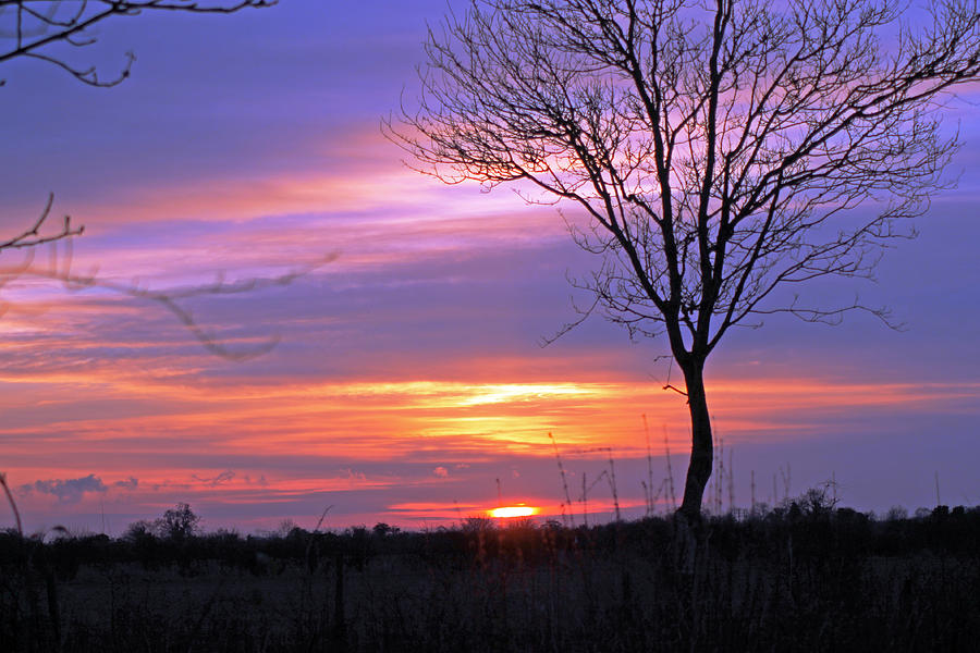 Sunset Photograph by Tony Murtagh