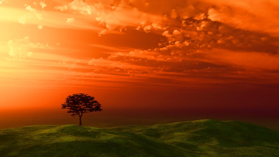 Sunset Digital Art - Sunset tree by Kirsty Pargeter