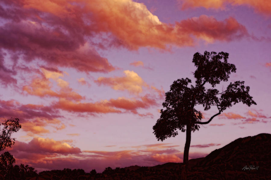 Sunset Tree landscape art Digital Art by Ann Powell