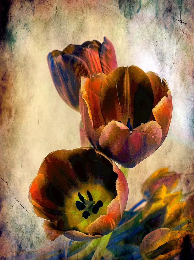 Sunset Tulips Photograph by Melissa Bittinger
