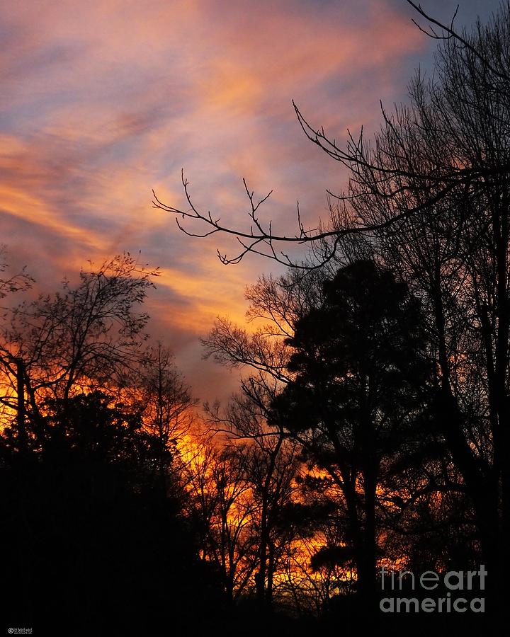 Sunset View from the Path Photograph by Lizi Beard-Ward