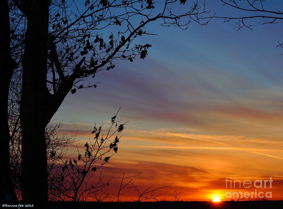 Tree Photograph - Sunset View by Rennae Christman